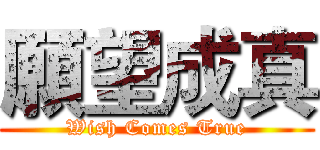 願望成真 (Wish Comes True)