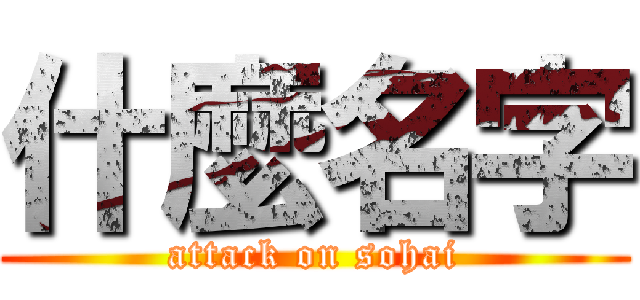 什麼名字 (attack on sohai)