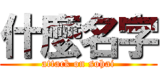 什麼名字 (attack on sohai)