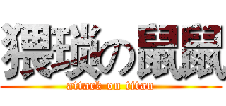猥琐の鼠鼠 (attack on titan)