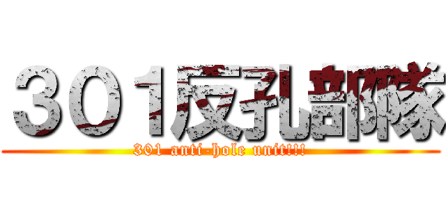 ３０１反孔部隊 (301 anti-hole unit!!!)
