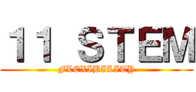 １１ ＳＴＥＭ (FLEXIBILITY)