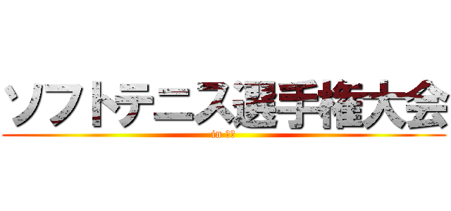 ソフトテニス選手権大会 (in 熊本)