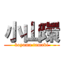 小山環 (koyama tamaki)