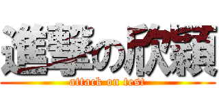 進撃の欣穎 (attack on test)