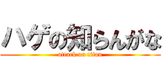 ハゲの知らんがな (attack on titan)