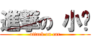 進撃の 小车 (attack on car)