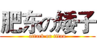 肥东の矮子 (attack on titan)
