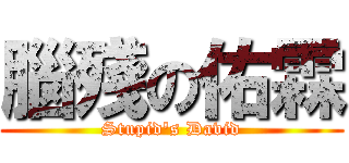 腦殘の佑霖 (Stupid\'s David)