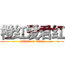 橙红爱君红 (attack on titan)