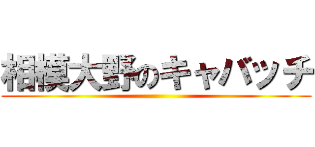 相模大野のキャバッチ ()