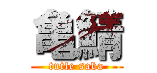 亀鯖 (tutle saba)