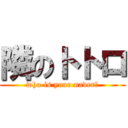 隣のトトロ (who is your naver?)