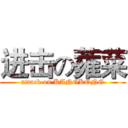 进击の蕹菜 (attack on KANGKONG)