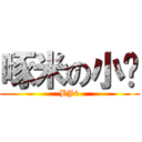 啄米の小雞 (BJ4)