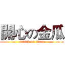開心の金瓜 (attack on titan)