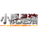 小屁是猪 (PS、AI有关设计的那些事)