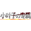 小叶子の专属 (kw)