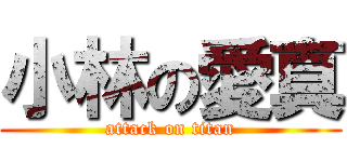 小林の愛真 (attack on titan)