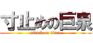 寸止めの巨泉 (attack on titan)