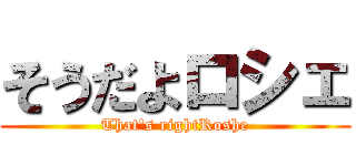そうだよロシェ (That\'s rightRoshe)