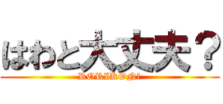 はわと大丈夫？ (RORIKON?)