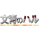 文青のハル ()