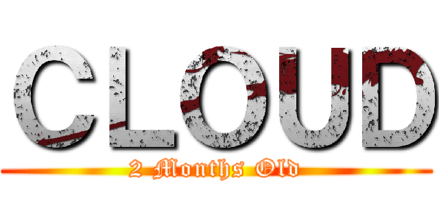 ＣＬＯＵＤ (2 Months Old)