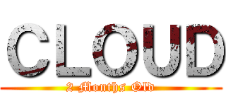 ＣＬＯＵＤ (2 Months Old)