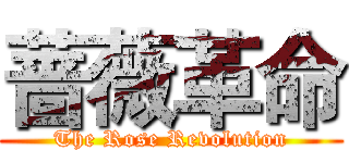 蔷薇革命 (The Rose Revolution)