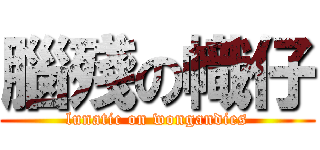 腦殘の幟仔 (lunatic on wongandies)