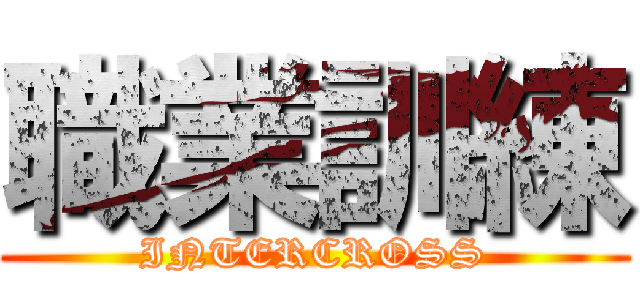 職業訓練 (INTERCROSS)