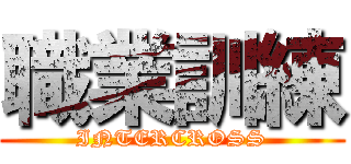 職業訓練 (INTERCROSS)