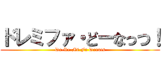 ドレミファ・どーなっつ！ (Do-Re-Mi-Fa Donuts)