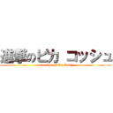 進撃のピカ コッシュ (attack on Pika-Kosh)