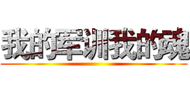 我的军训我的魂 ()