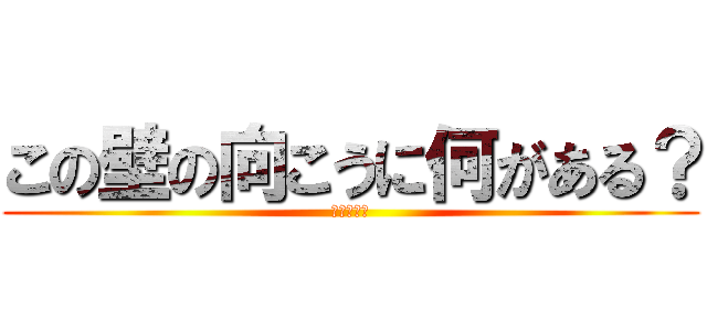 この壁の向こうに何がある？ (うるせー！)