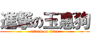 進撃の玉惠狗 (attack on titan)