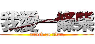 我愛一條柴 (attack on titan)