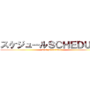 スケジュールＳＣＨＥＤＵＬＥ (when you can watch)