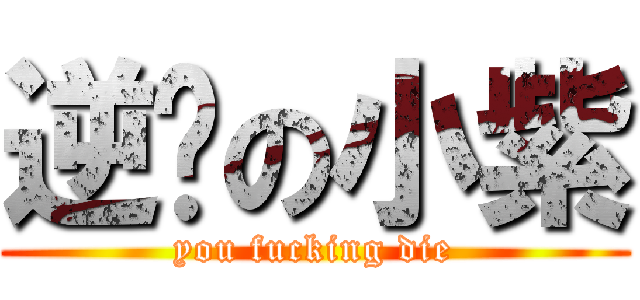 逆袭の小紫 (you fucking die)