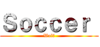 Ｓｏｃｃｅｒ  (Wolf)