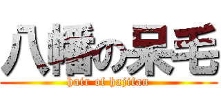 八幡の呆毛 (hair of hajifan)