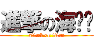進撃の海咪咪 (attack on titan)