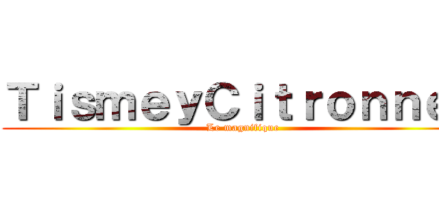 ＴｉｓｍｅｙＣｉｔｒｏｎｎｅｙ (Le magnifique)
