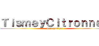 ＴｉｓｍｅｙＣｉｔｒｏｎｎｅｙ (Le magnifique)