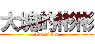 大塊的彬彬 (Fat of bin)