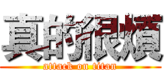 真的很煩 (attack on titan)