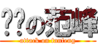 抠门の范峰 (attack on fanfeng)