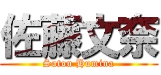 佐藤文奈 (Satou Humina)